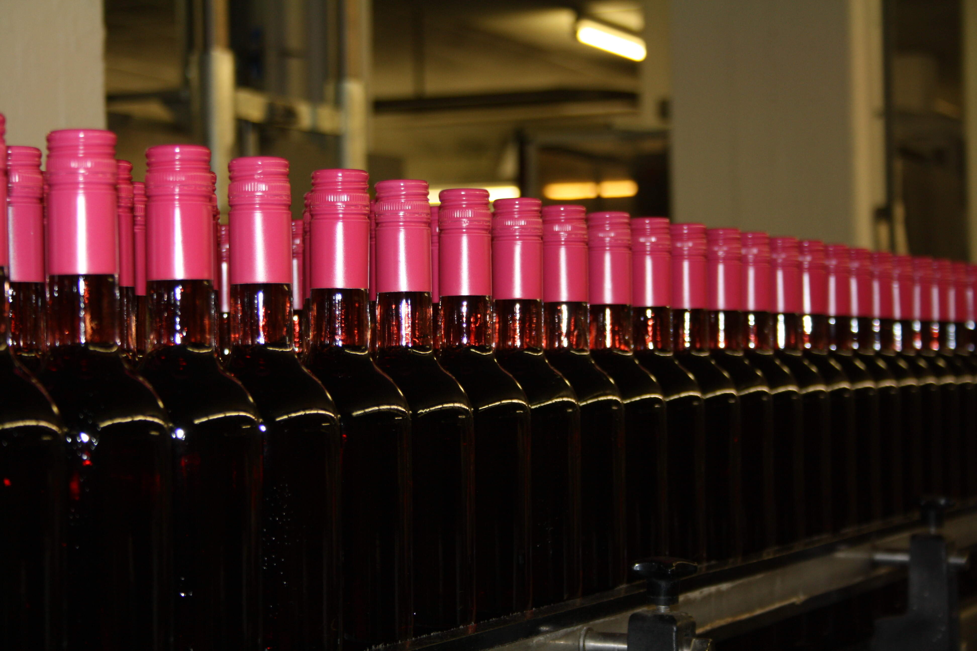 Winzer von Baden eG Wiesloch