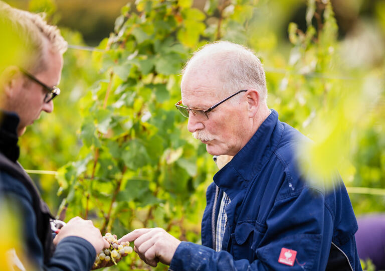 Weingut & Weinstube Heinz J. Schwab Bretzfeld-Dimbach