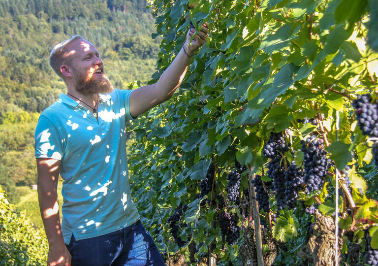Weingut Köpfer Staufen-Grunem