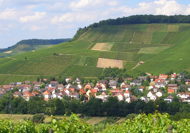 Weingut Haberkern Erlenbach