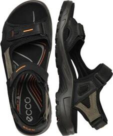 Wander- & Bergschuhe Trekkingschuhe ECCO