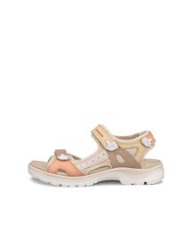 Wander- & Bergschuhe ECCO