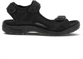 Trekkingschuhe Wander- & Bergschuhe ECCO