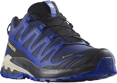 SALOMON SALOMON Herren Trailrunningschuhe SHOES XA PRO 3D V9 GTX Bluepr Surf W Lap Sabu