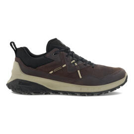 Trekkingschuhe Ecco