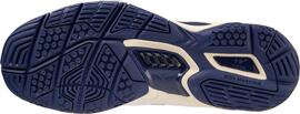 Ballsport MIZUNO