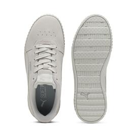 Trainings- & Hallenschuhe Puma