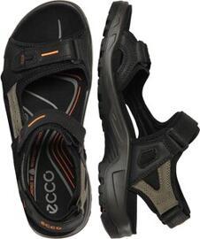 Trekkingschuhe Wander- & Bergschuhe ECCO