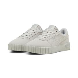Trainings- & Hallenschuhe Puma