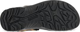 Trekkingschuhe Wander- & Bergschuhe ECCO