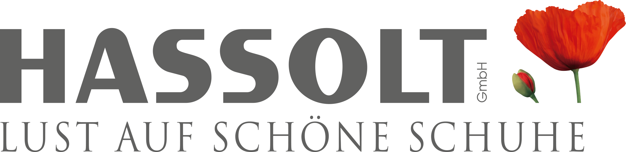Schuhhaus Hassolt Logo