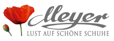 Schuhmode-Haus Meyer Logo