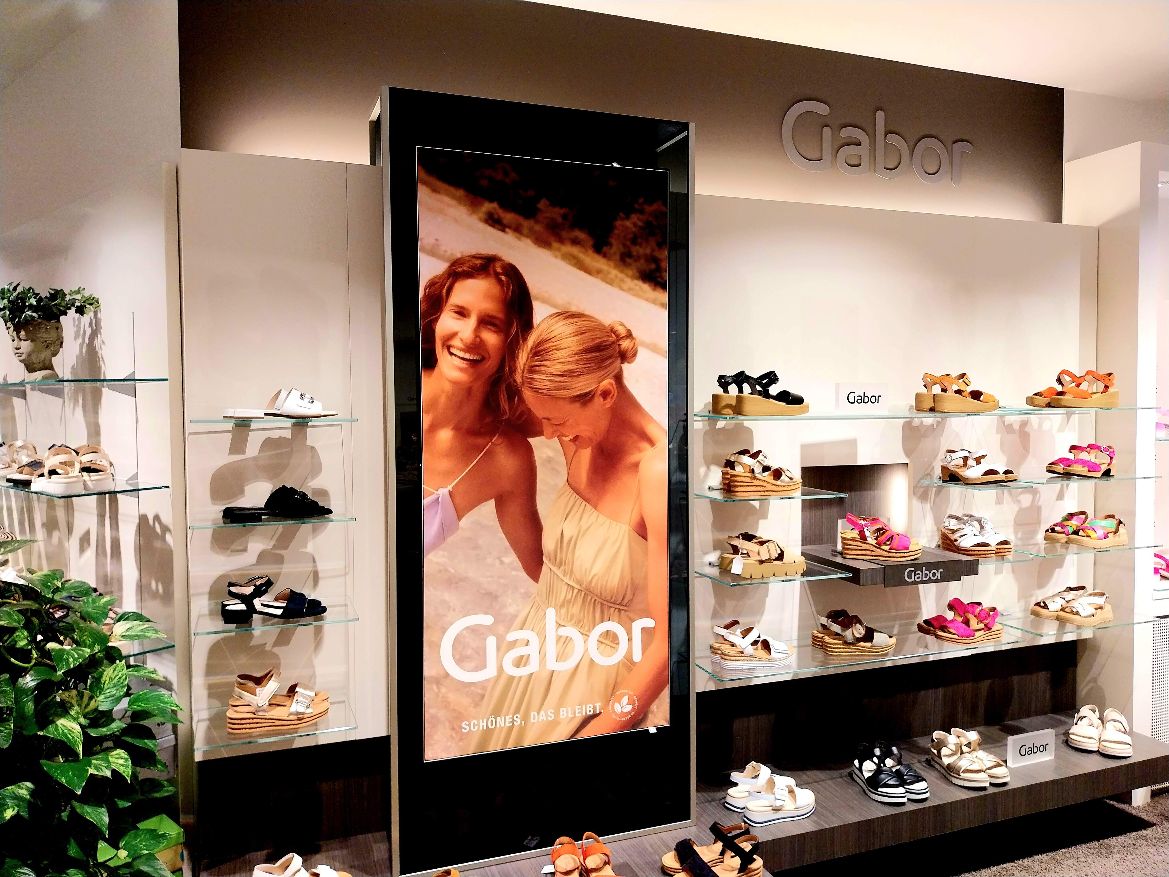 Schuhhaus Wüseke GmbH(Paderborn) Paderborn