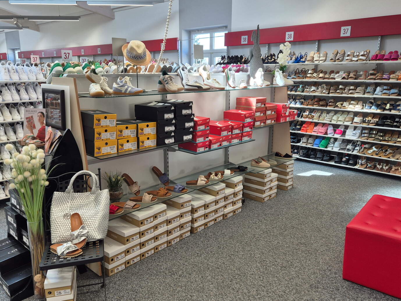 Schuh Jillich (Reisbach) Reisbach