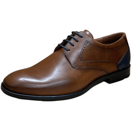 Businessschuhe Lloyd