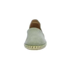 Slipper Verbenas