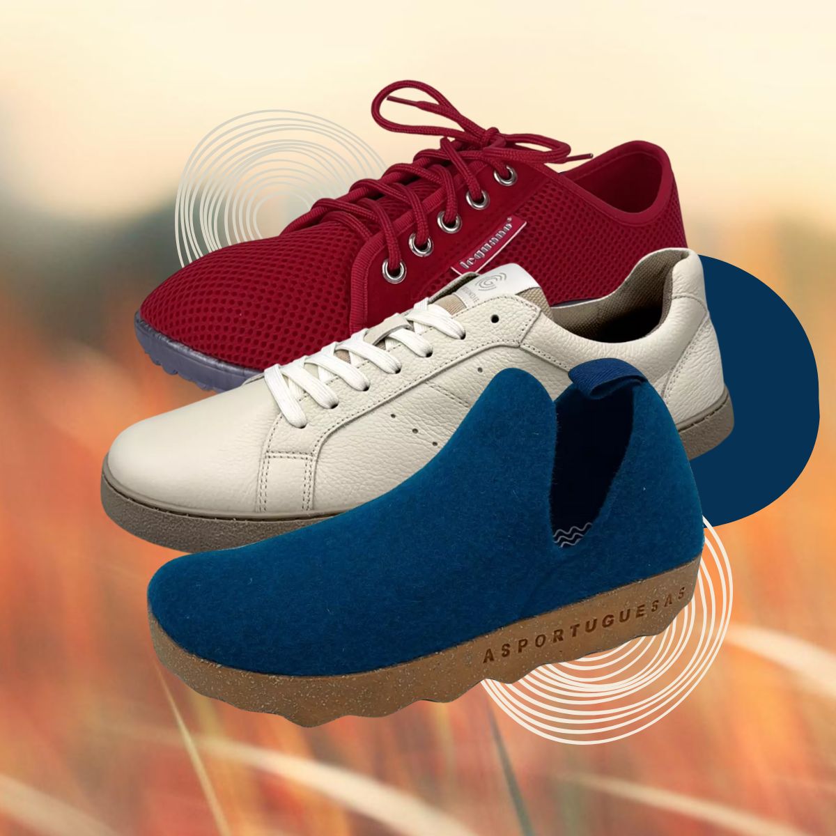 Neuheiten - square - Schuhwiese.de und Canva.jpg