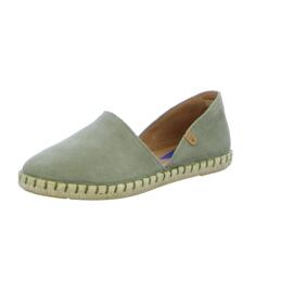 Slipper Verbenas