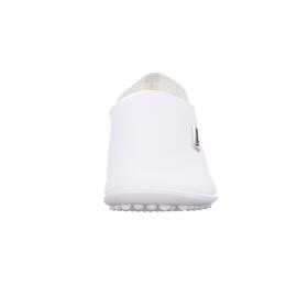 Slipper Slipper Leguano