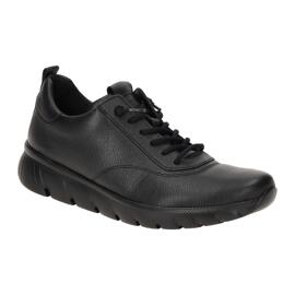 Slipper Gabor