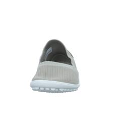 Slipper Leguano