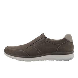 Slipper ara