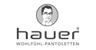 Hauer Logo