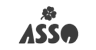 ASSO Logo