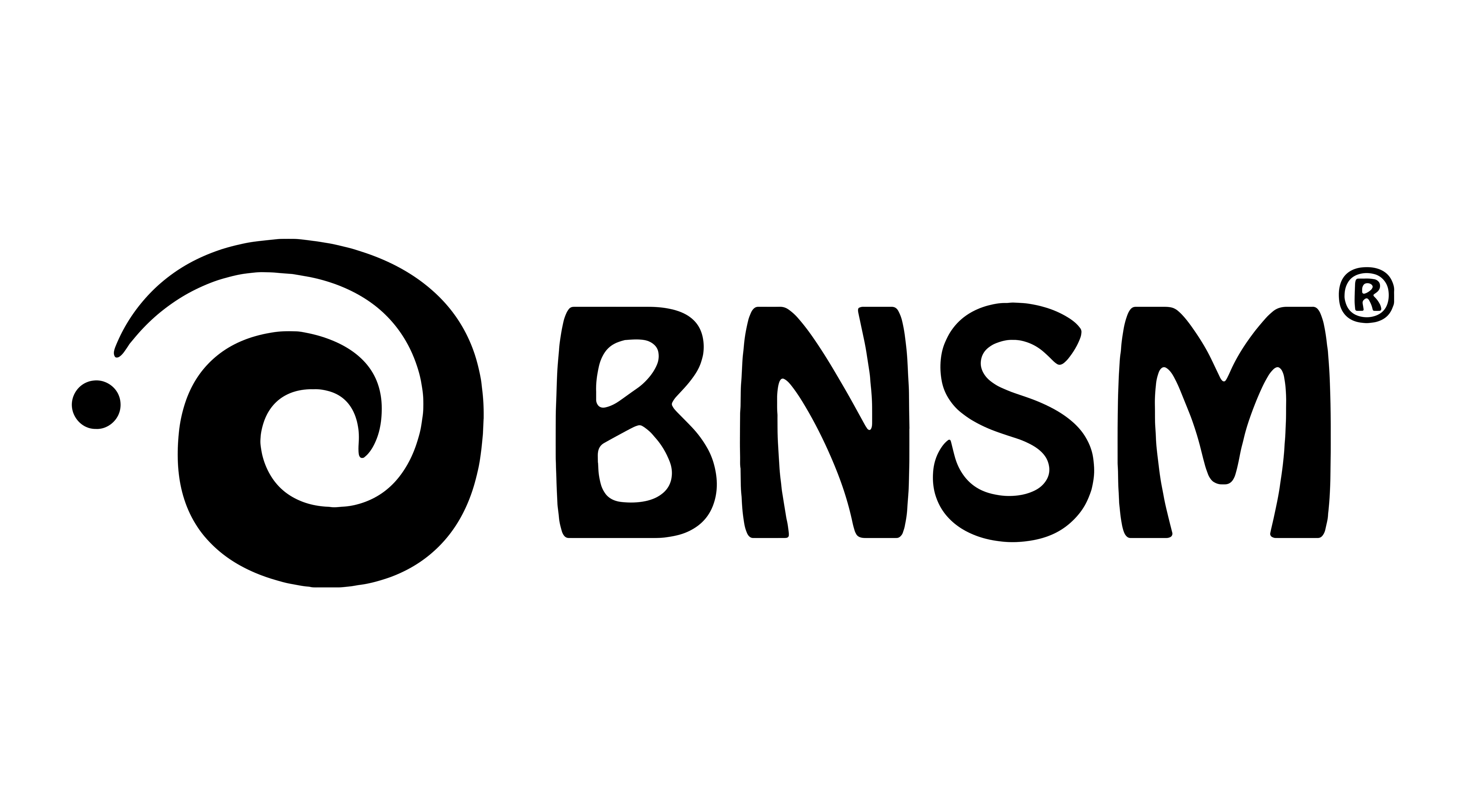 BNSM Logo