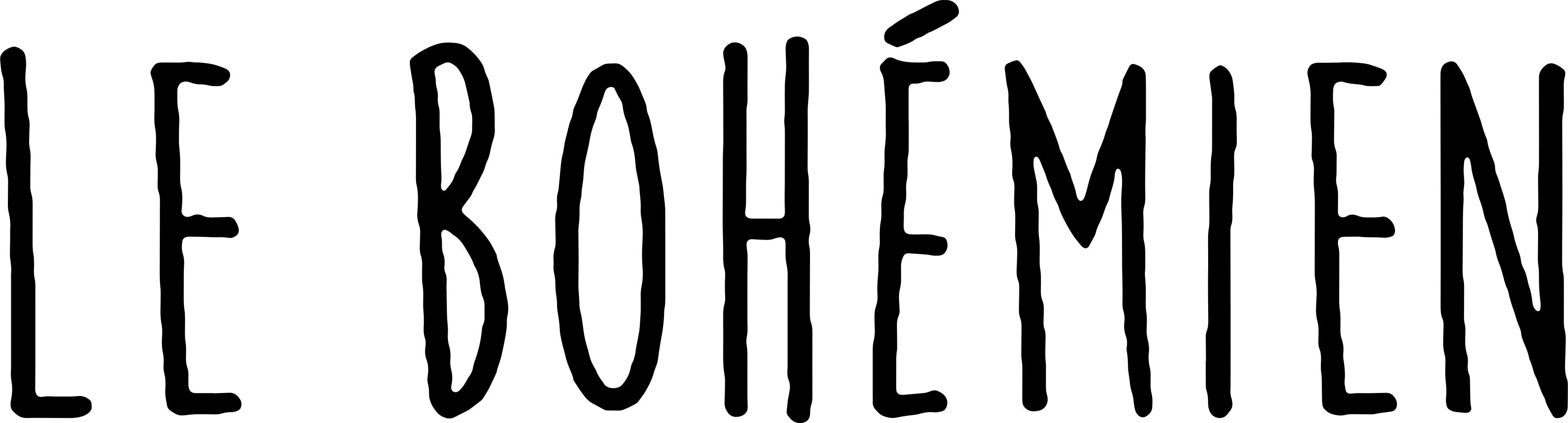 LE BOHÉMIEN Logo