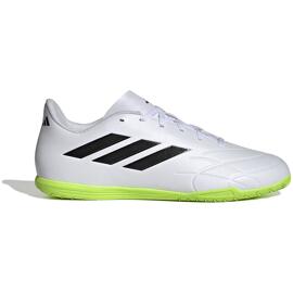 Hallenschuhe adidas