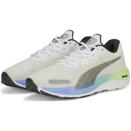 Laufschuhe puma