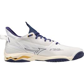 Volleyballschuhe mizuno