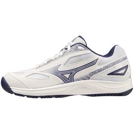 Volleyballschuhe mizuno
