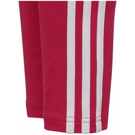 Tights & Leggins adidas