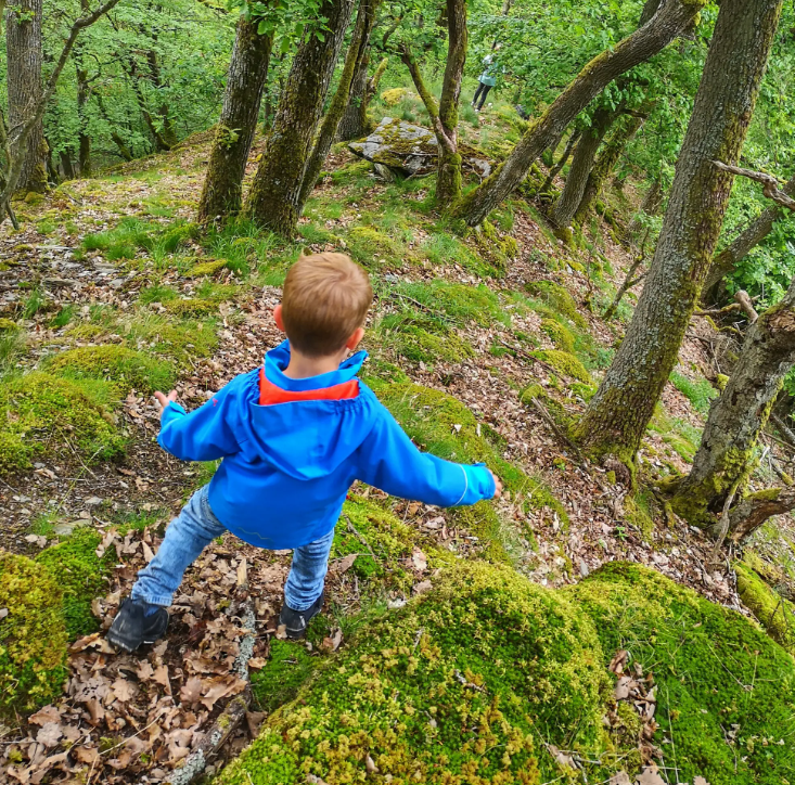 Screenshot 2025-02-19 115103.png