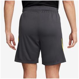 Shorts & Röcke nike