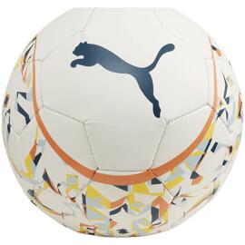 Fußbälle puma