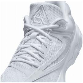 Basketballschuhe nike