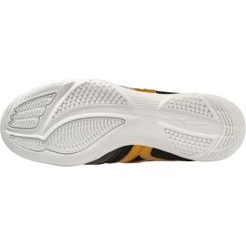 Hallenschuhe mizuno