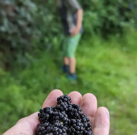 Screenshot 2025-02-20 111206.png