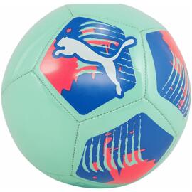 Fußbälle puma