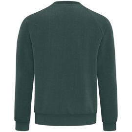 Pullover & Sweatshirts schneider