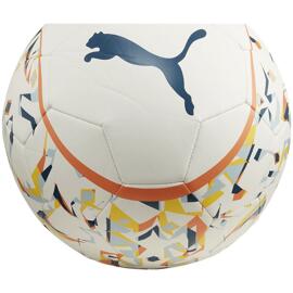 Fußbälle puma