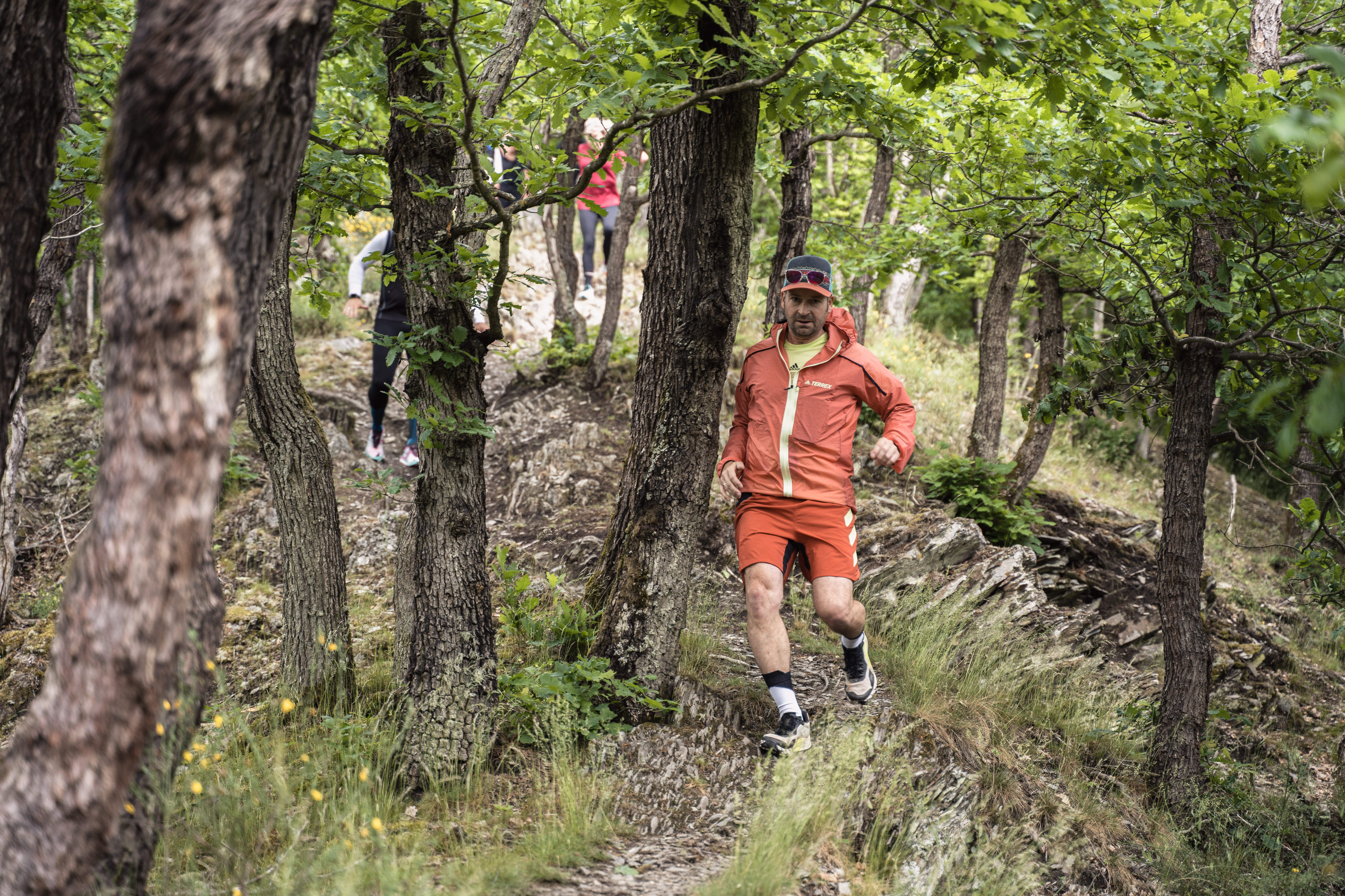 Downhill Trailrunning Bäume