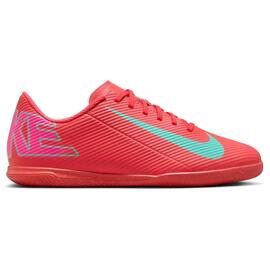 Hallenschuhe nike