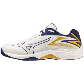 Volleyballschuhe mizuno