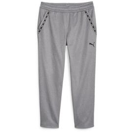 Hosen puma