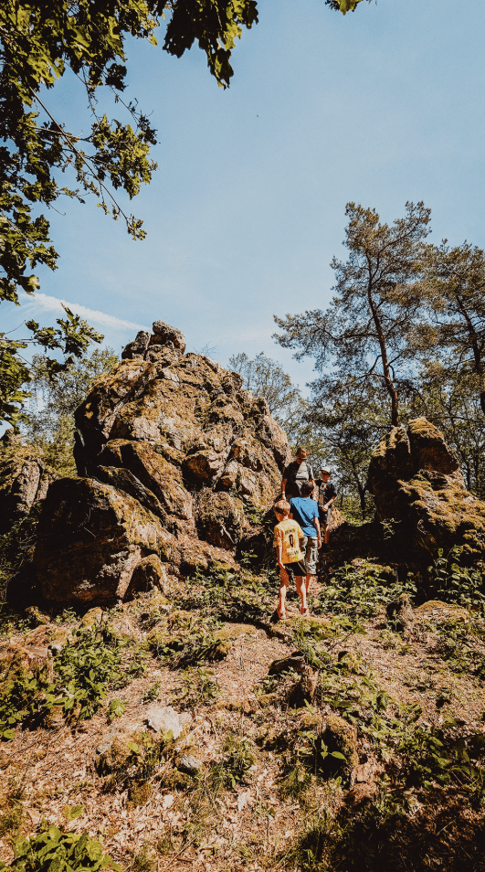 Screenshot 2025-03-05 115820.png