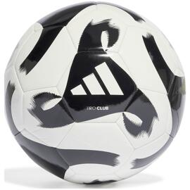 Fußbälle adidas